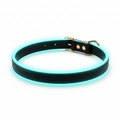 Glow in the Dark Collar - Keep Your Pet Safe and Seen After Dark